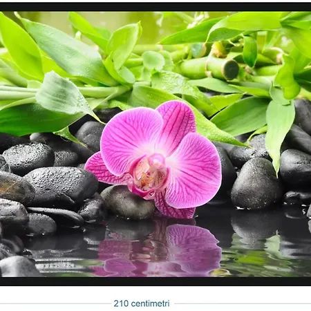 アパート One Bedroom With Shared Pool Jacuzzi And Enclosed Garden At 2 Km Away From The *